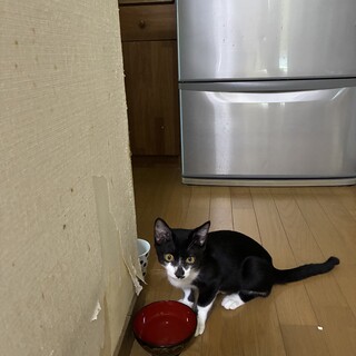 やさしい男の子♪♪♪