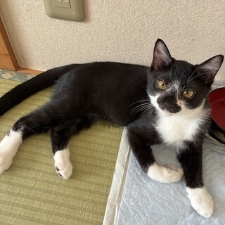 元気な男の子☆☆☆