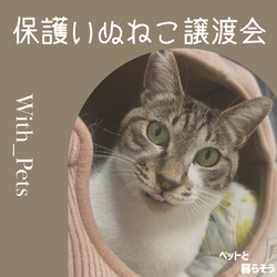 保護いぬねこ譲渡会