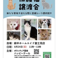 ハッピーテール保護猫譲渡会