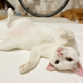 【4/19恵比寿】フレンドリーなご機嫌さん♪