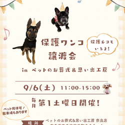 保護ワンコ譲渡会 in ペットのお葬式＆思い出工房