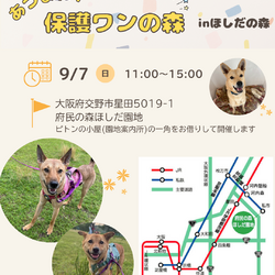 あつまれ！保護わんの森inほしだ園地(定期譲渡会)