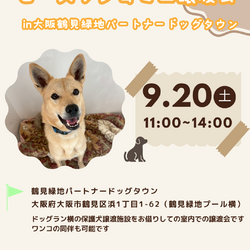 ピースワンコ生駒ミニ譲渡会 in大阪鶴見緑地パートナードッグタウン