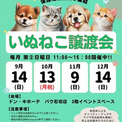いぬねこ譲渡会 in ドン・キホーテ パウ石切店 