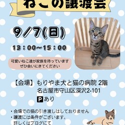 ねこの譲渡会 inもりやま犬と猫の病院
