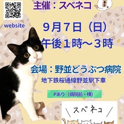 猫の譲渡会　９/７（日）野並どうぶつ病院さまで開催