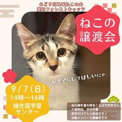 【合同】保護猫譲渡会　名古屋市　緑区