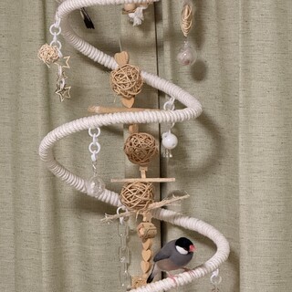 気難しい文鳥兄妹