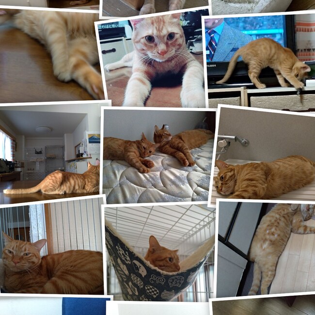 yuu0223のカバー写真