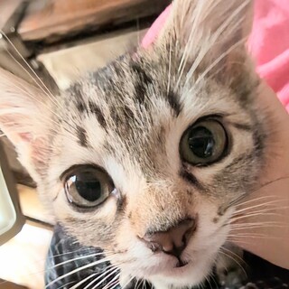 生後1日から人の手で育った子♪