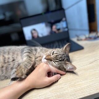 甘々な天使ぷくぷく