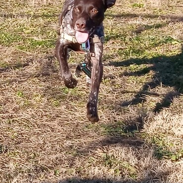 走るのが大好き！