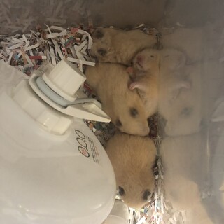 6月25日で2ヶ月になります