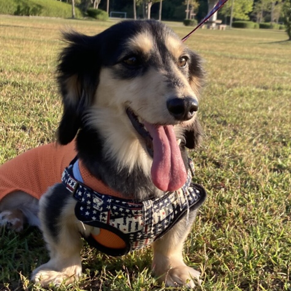 Baronのカバー写真