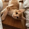 有り難うございました サムネイル6