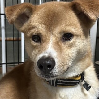 幼いお顔の琉生(るい)くん