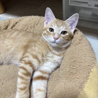 仲良しと一緒にお迎えしてもらえました⭐︎ようた