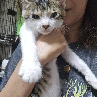 ママが守り唯一生き残ったガイア