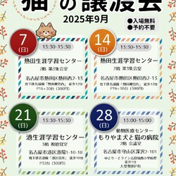 ▼猫の譲渡会▼名古屋市熱田区