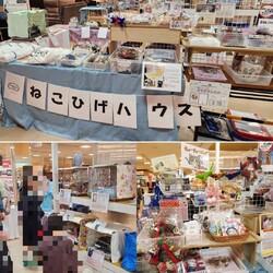 子猫～シニア猫❤足立区島忠ホームズ大谷田店(千代田線北綾瀬駅から徒歩10分) サムネイル2
