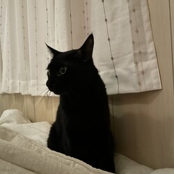 まるくん、なんでだろうねぇ？