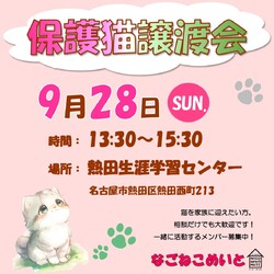名古屋　保護猫譲渡会
