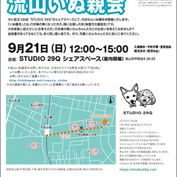 9月21日ちばわん『流山いぬ親会』開催のご案内