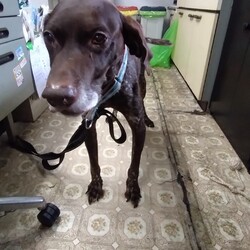 「暑くて同伴」サムネイル1