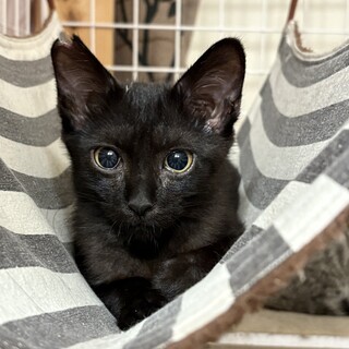 ゴミ屋敷からのレスキュー。幸せになりたい。