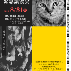 多頭飼育崩壊猫・緊急譲渡会