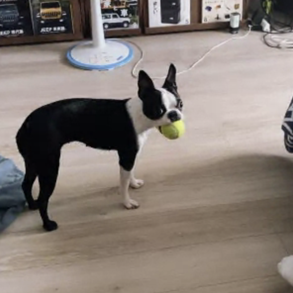 こはるのカバー写真