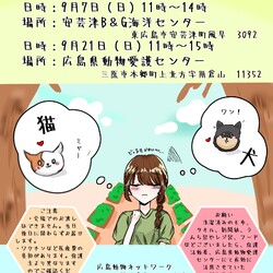 犬猫譲渡会