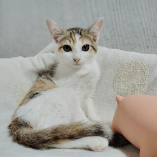 おっとりほんわか癒し美少女約2ヶ月半