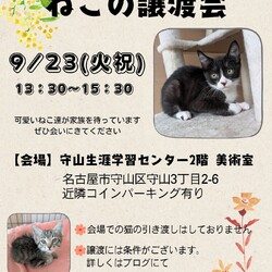ねこの譲渡会 in守山生涯学習センター