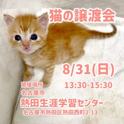 可愛い子ちゃんが勢揃い