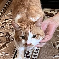 ＬＯＬＯ　ロロ