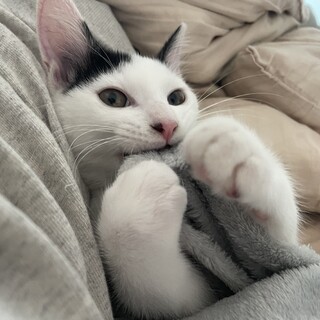 我が子のように愛せる方限定！！