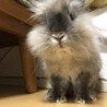 の写真