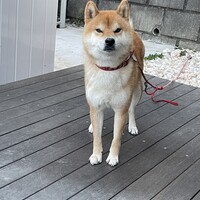銀次