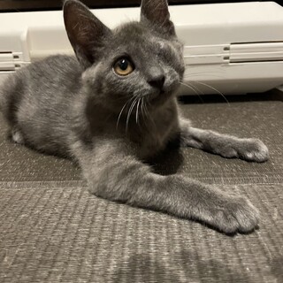 ずっとのご家族様にお迎えいただきました。