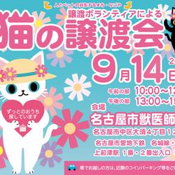 猫の譲渡会☆大須商店街近く