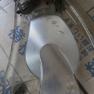 今年出てきた石亀