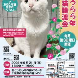 ねこうらら 保護猫譲渡会