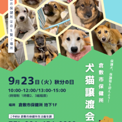倉敷市保健所　収容犬猫譲渡会