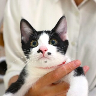 遊びたい盛りの男の子！ボンボンくん！