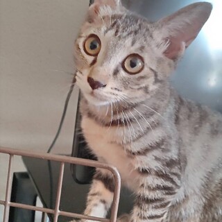 ありがとうございました★可愛いチェリーちゃん
