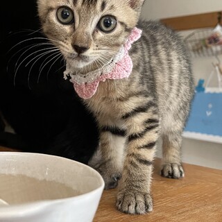 真夏のキュートガール！なっちゃん