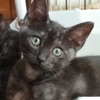 どんどん可愛くなる♡天真らんまん娘