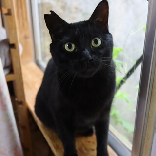 全身全霊の愛・オーラくん